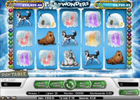 Icy Wonders videoslot bij online casino