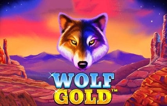 top 10 online casino spellen wolf gold